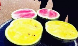 吃瓜快进,揭秘娱乐圈幕后故事