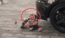 带你吃瓜奇葩小车,带你领略“带你吃瓜”奇葩小车风采