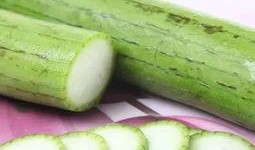 被虫吃的瓜图片,一窥瓜田里的“隐形杀手”