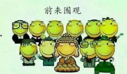 吃瓜群众028,网络热议背后的真相