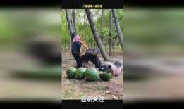 吃瓜八戒,揭秘娱乐圈背后的那些事儿