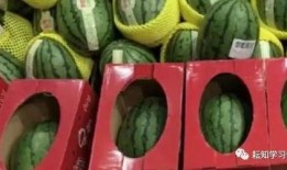 郑州师范事件吃瓜,揭秘校园风波背后的真相与反思