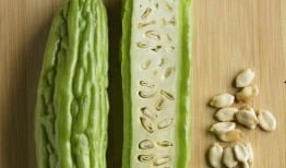 湿瓜咋吃,湿瓜的多样食用方法与美味探索