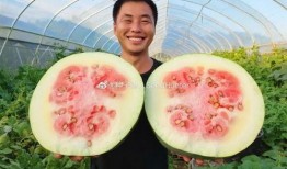 吃瓜 山西,吃瓜群众眼中的地方风情