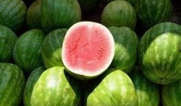 吃瓜图片最新,一场视觉盛宴背后的故事