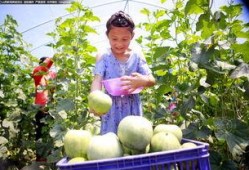 临汾吃瓜事件视频