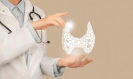 脱发吃瓜的好处,揭秘脱发人群的饮食奥秘