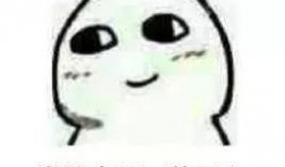 饭圈吃瓜姐,揭秘“吃瓜姐”背后的娱乐真相