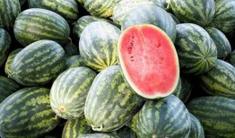 世界城直播吃瓜,一场别开生面的吃瓜盛宴