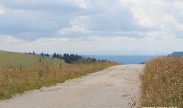 梦见下山吃瓜,下山途中邂逅瓜果盛宴