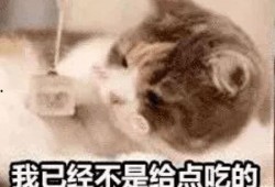 阿姨吃瓜表情,揭秘生活百态