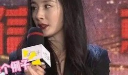 饭圈吃瓜姐,揭秘“吃瓜姐”背后的娱乐真相