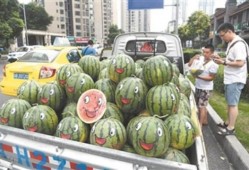 山东特色吃瓜群众,吃瓜群众的特色美食之旅