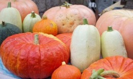 吃瓜网站笋瓜破解,吃瓜网站背后的秘密大公开