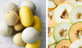 甜心吃瓜链接,揭秘娱乐圈甜蜜背后的秘密瓜