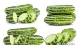 好朋友cc吃瓜,揭秘娱乐圈那些不为人知的幕后故事