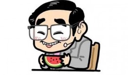 吃瓜可爱表情包图片,吃瓜可爱表情包，带你领略欢乐瞬间