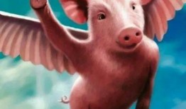 野猪吃瓜头像高清图,趣味横生的自然瞬间