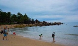 海角社区吃瓜,揭秘网络热点的背后故事