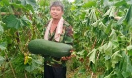 网上劲爆吃瓜,揭秘娱乐圈最新热点事件！