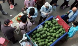 吃瓜吃个痛快,吃瓜群众畅享清凉盛宴