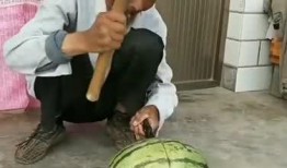 老铁吃瓜啦,揭秘娱乐圈那些不为人知的幕后故事