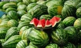 meraki吃瓜,揭秘网红美食背后的故事