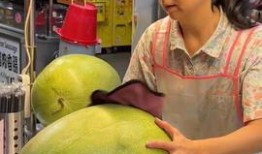 盼盼偷瓜吃,盼盼的夏日美味冒险