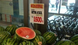 世界城直播吃瓜,一场别开生面的吃瓜盛宴