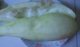 葫瓜什么季节吃,葫芦瓜的季节美味