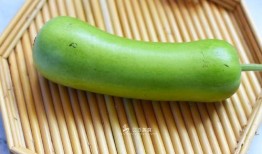 蒲瓜可包饺子吃,传统美食新体验