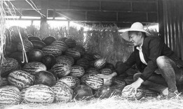 吃瓜群众大营门,一场全民参与的舆论盛宴