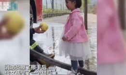 吃瓜小姑凉,揭秘娱乐圈背后的那些事儿