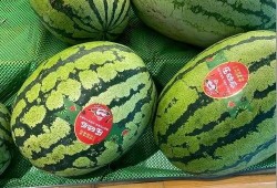 十三吃瓜,揭秘娱乐圈背后的那些事儿