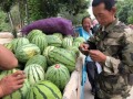 宝我在吃瓜