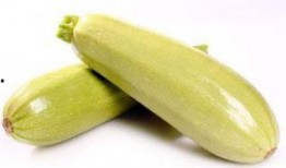 茭瓜吃有毒