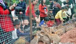 龙洞吃瓜