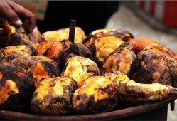 暖气吃瓜,揭秘暖气吃瓜的独特魅力