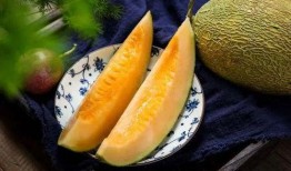 吃哈密瓜在几月,哈密瓜成熟季
