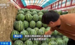 龙洞吃瓜