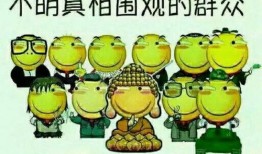 大熊的吃瓜日记王,揭秘娱乐圈幕后风云