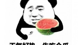 吃瓜的鬼畜表情包