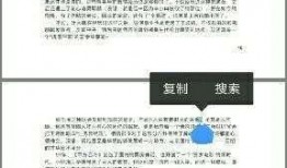 怎么用pdf吃瓜,轻松掌握吃瓜新姿势