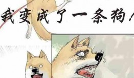 吃瓜不如看小说,尽享文字盛宴