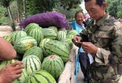 宝我在吃瓜