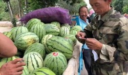 宝我在吃瓜