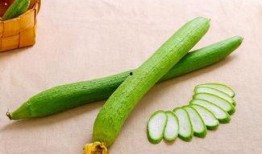 老邻居吃瓜,揭秘老邻居们的吃瓜趣事