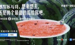 有关吃瓜的文案
