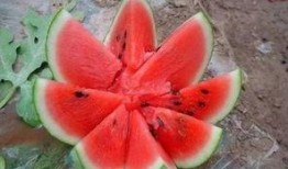 龙洞吃瓜